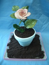 Flower Pot with Rose cake